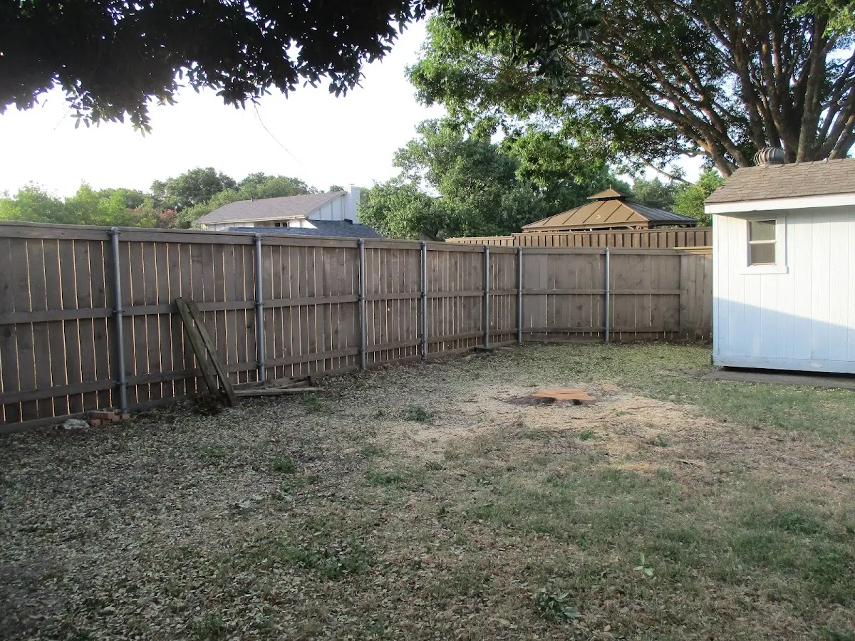 Cleared yard after professional tree removal in Rock Glen