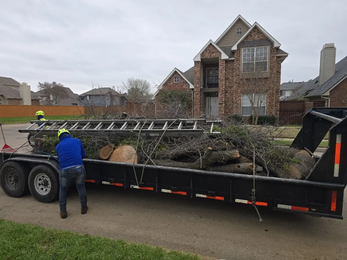 Expert Crown Reduction with proper safety equipment in Rock Glen